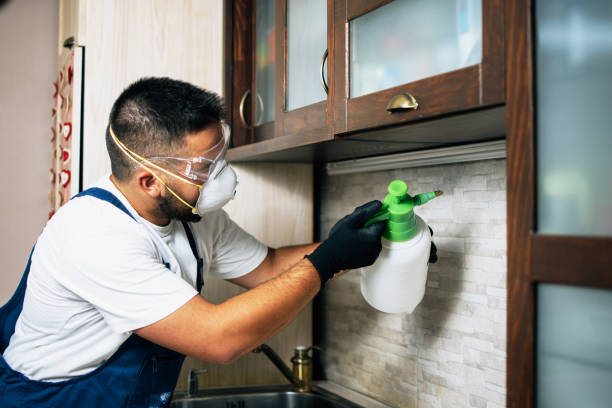 Wildlife Control Services in Aurora, IL