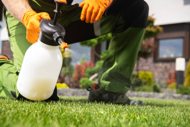 Professional Pest Control in Aurora, IL