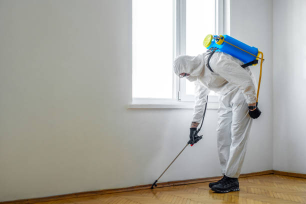 Flea Control Services in Aurora, IL
