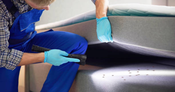 Best Residential Pest Control  in Aurora, IL
