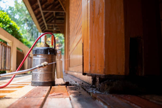 Best Mosquito Control Services  in Aurora, IL
