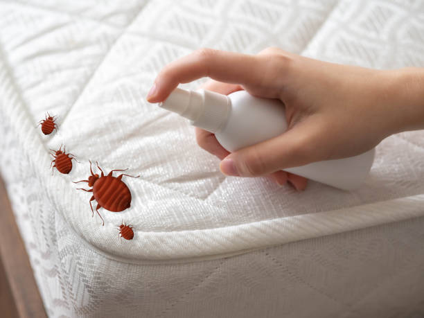 Best Affordable Pest Control Services  in Aurora, IL