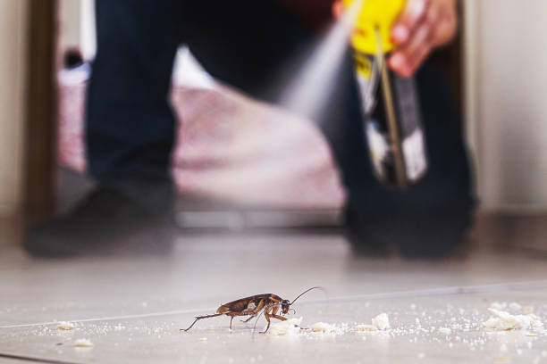 Best Pest Removal Services  in Aurora, IL