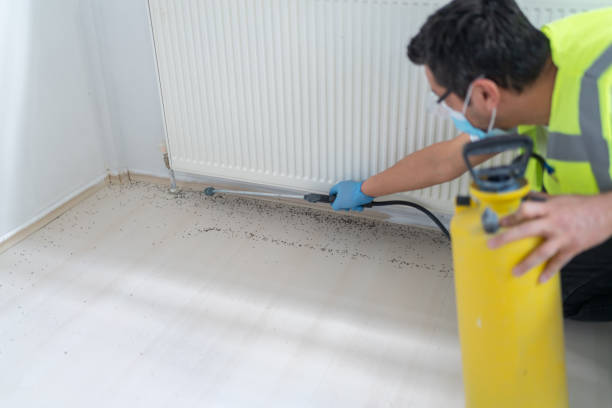Best Emergency Pest Control  in Aurora, IL